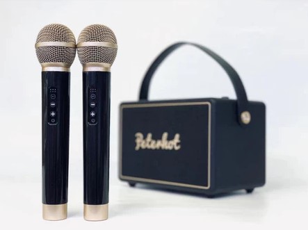 Loa Karaoke Peterhot A108W, A106W Kèm 2 Micro Không Dây, Loa Bluetooth Âm Thanh Siêu Đỉnh, Bass Cực Căng